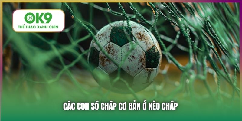 Các con số chấp cơ bản ở kèo chấp