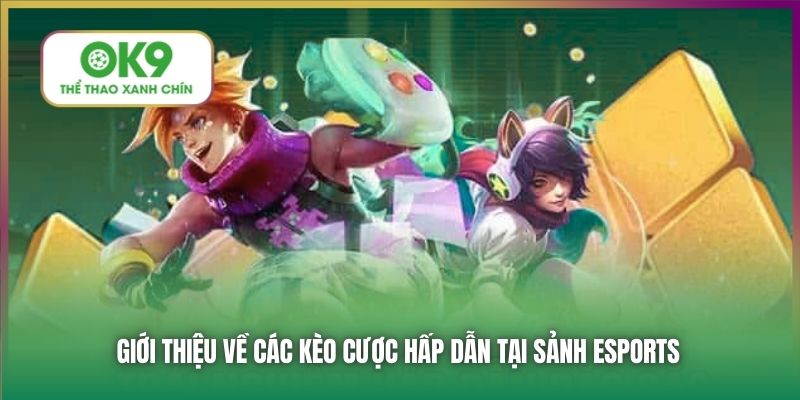 Giới thiệu về các kèo cược hấp dẫn tại sảnh Esports