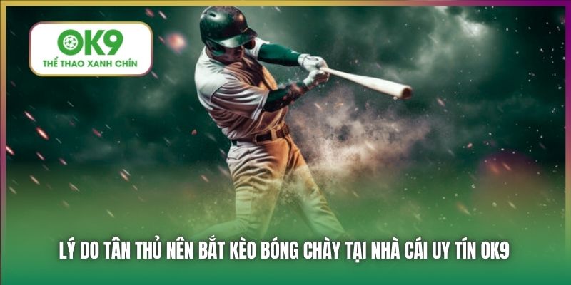 Lý do tân thủ nên bắt kèo bóng chày tại nhà cái uy tín OK9