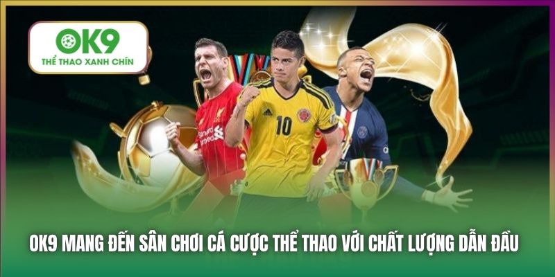 OK9 mang đến sân chơi cá cược thể thao với chất lượng dẫn đầu