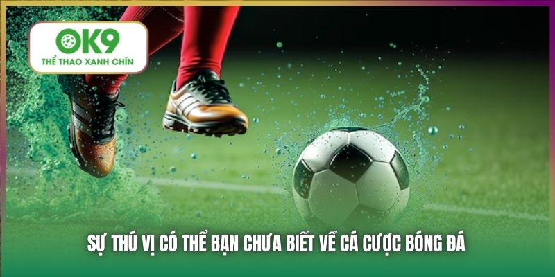 Sự thú vị có thể bạn chưa biết về cá cược bóng đá